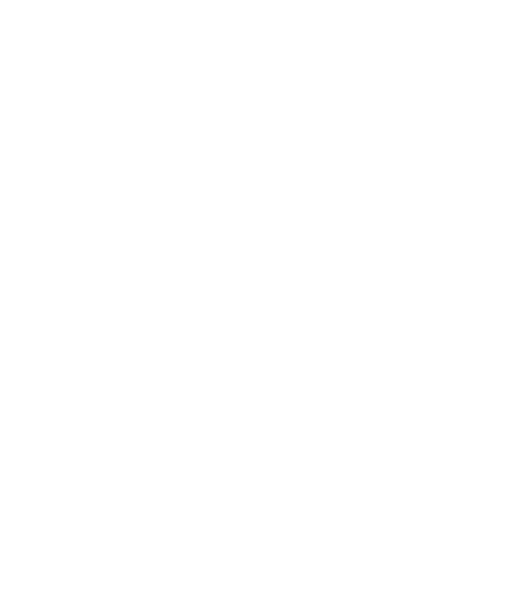 Golden Goose - Steel Series